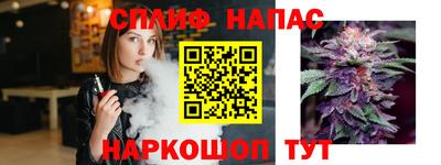 индика Канаш